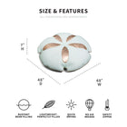 Sand Dollar