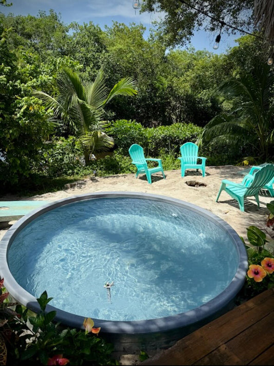 Weekly or Bi-Weekly Service Subscription