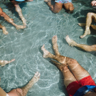 Cowboy Pools Protections Plans
