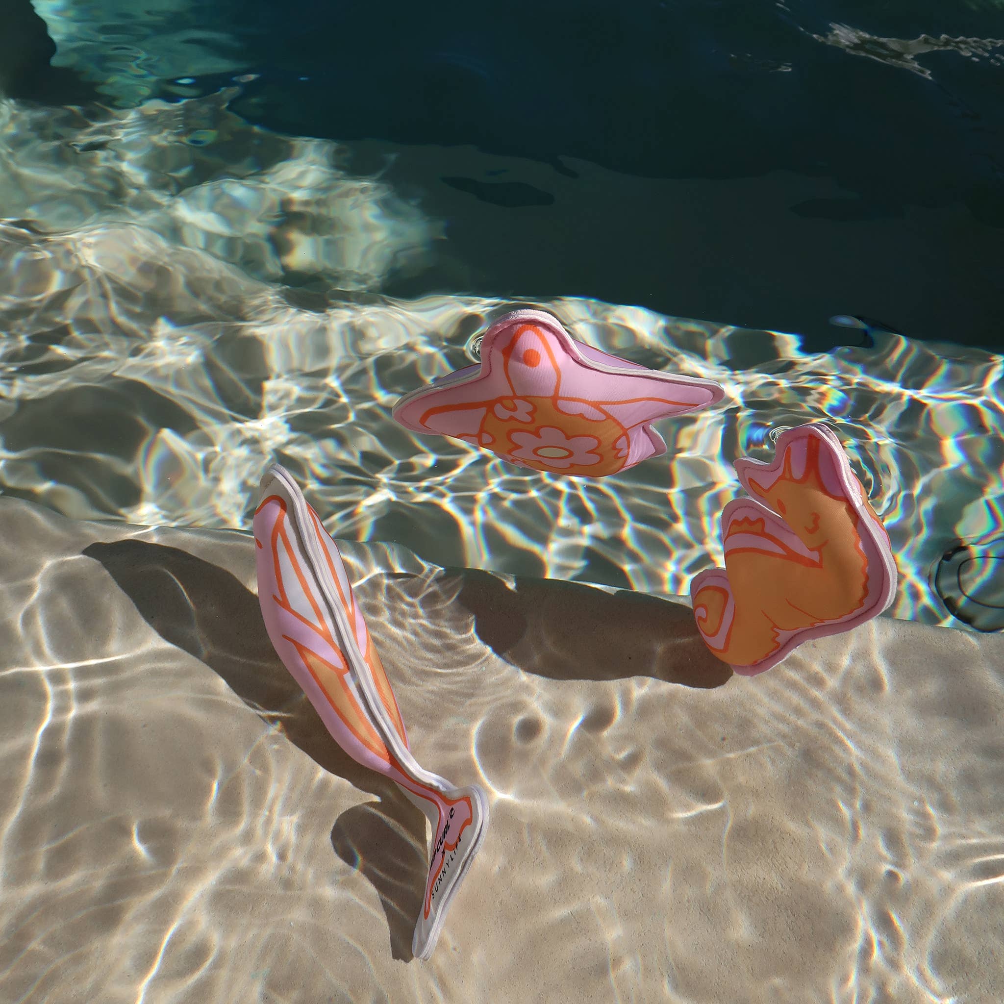 Dive Buddies Ocean Magic