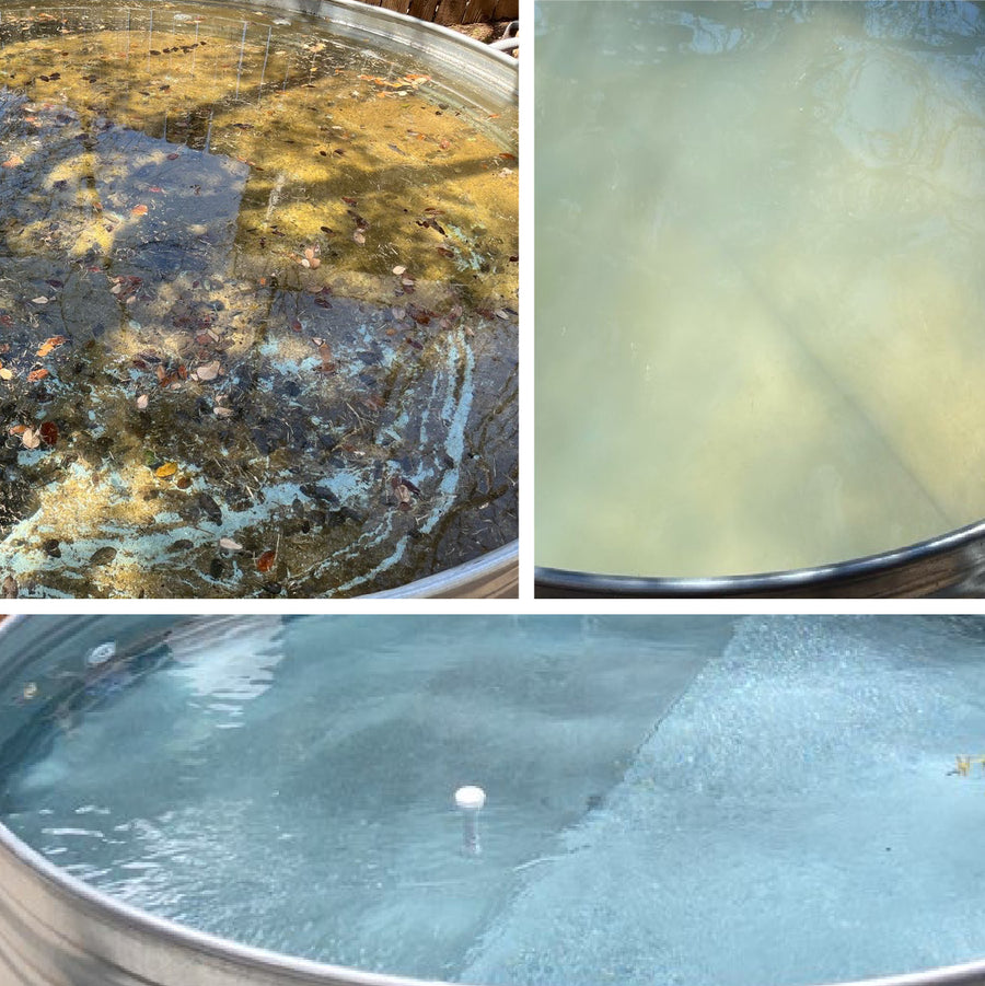 Green To Clean Pool Service